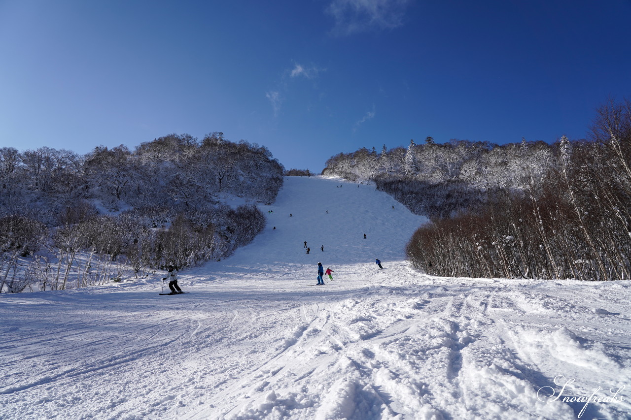 札幌国際スキー場 これぞ北海道。粉雪が降り積もったゲレンデはコンディション良好！そして、早くも全コース滑走可能です(*^^)v